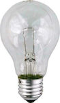 Eurolamp Halogen Lamp E27 40W