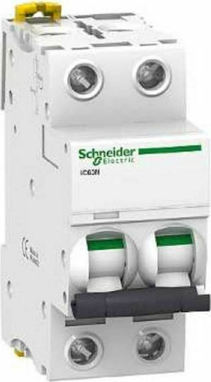 Schneider Electric Αυτόματη Ασφάλεια 40A Διπολική AC/DC A9F74240