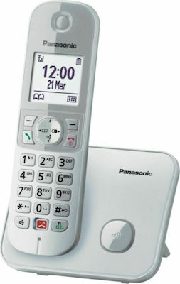 Panasonic KX-TG6851 Cordless Phone with Speaker Silver