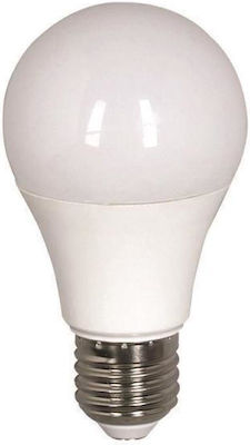 Eurolamp LED Lampen für Fassung E27 und Form A60 Kühles Weiß 1521lm 1Stück