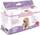 Record Assorbi Piu Dog Panties Medium - 65cm 12pcs