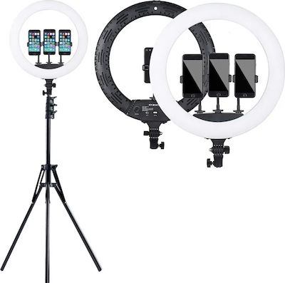 Ring Light Led Ring Light with 3 mobile holders 45cm 2700-6500K με Τρίποδο Δαπέδου και Βάση για Κινητό