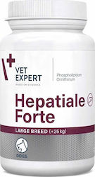 VetExpert Hepatiale Forte Διατροφικό Συμπλήρωμα Ηπατοπροστατευτικό 40 Δισκία