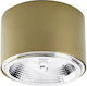 TK Lighting Einzel Spot mit Fassung null in Gold Farbe