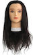 Various Educational Doll