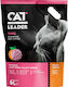 Cat Leader Tofu Φυτική Άμμος Γάτας Tofu με Άρωμα Ροδάκινο 3.1kg / 6lt