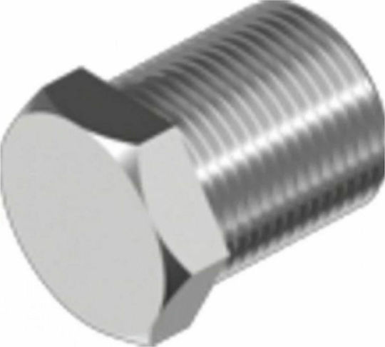 Wasi Αρσενική Τάπα Γαλβανιζέ Inox A4 3/8" 1611-01