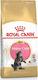 Royal Canin Maine Coon Kitten Dry Food for Juvenile Cats with Poultry / Rice 4kg