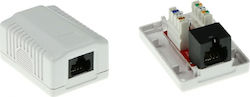 Intronics External Network Socket