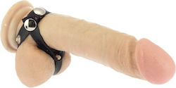 Rimba Penis & Balls Strap Cock Ring Schwanz & Hoden Leder Schwarz