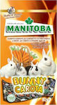 Manitoba Bunny Carrots Main Food with Carrot for Rabbit 1kg