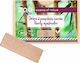 Zao Organic Makeup Rectangle Pearly Shadow Refi...