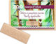 Zao Organic Makeup Rectangle Pearly Shadow Refi...