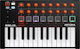 Arturia Midi Keyboard MiniLab MK II with 25 Key...