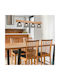 Trio Lighting Cestino Ρυθμιζόμενο Κρεμαστό Φωτιστικό Ασημί Ράγα για 4 Λαμπτήρες E14 75x150εκ.