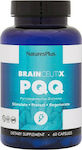 Nature's Plus BrainCeutix PQQ Spezielles Nahrungsergänzungsmittel 60 Mützen