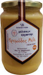 Melisson Ergastiri Honey Flower 450gr