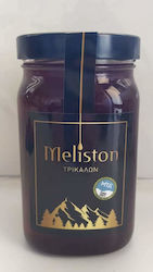 Meliston Μέλι Ελάτης 500gr