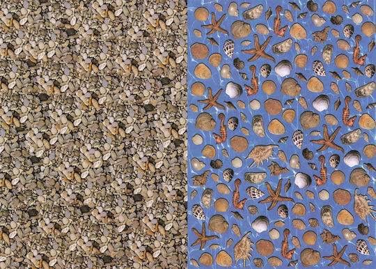 Rainbow Cardboard Double Sided "Κοχύλια-Βότσαλα" 300γρ./τ.μ. 50x70cm