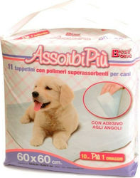 Record Assorbi Piu Hundewindeln 60x60cm 11Stück