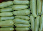 Αγροτικός Οίκος Σπύρου Armonia F1 Golden Seeds Pumpkinς Zucchini 250pcs