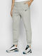 Nike Park 20 Παντελόνι Φόρμας με Λάστιχο Fleece Γκρι