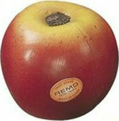 Remo Shaker Apple Small