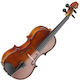 Stagg Maple Violin with Soft Case 1/2 Violins with Case and Bow