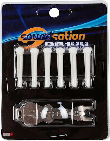Soundsation Pin White Wedge for Acoustic Guitars