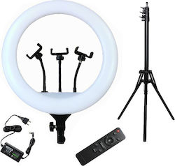 YQ-580 Ring Light 58cm cu Trepiadă Etaj și Suport pentru Mobil