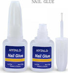 Antald False Nail Glue with Brush 10gr