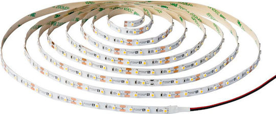 Evivak LED Strip 12V Natural White Light 5m Type SMD5050