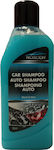 Protecton Șampon Curățare Șampon auto cu ceară pentru Corp Car Shampoo 1lt 1890143