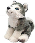 Wild Republic Λούτρινο Σκυλάκι Toy Husky 20 εκ.