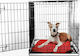 Glee Xlarge Dog Wire Crate XLarge with 2 Doors Black 107x70x77.5cm