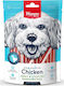 Wanpy Oven Roasted Dog Treat with Chicken 100gr