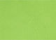 Folia Filz Grüne Licht Korkplatte 20x30cm 520451 30x20cm