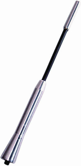 Carpoint Car Antenna Roof Threaded 17.5εκ in Silver Color