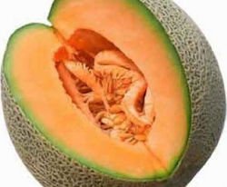 Seed Melon type Galia 4,5 gr - Variety semi-ripe , fruit slightly oval, and bark with a net texture. The flesh is compact and aromatic, yellow/orange in colour