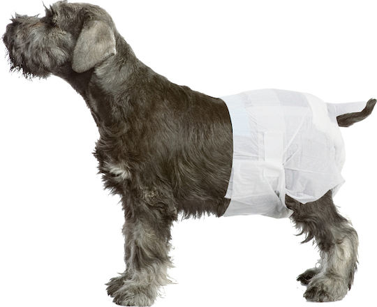 Pawise Female Dogs Βρακάκι Σκύλου XLarge 12τμχ