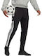 Squadra 21 Fußball Jogginghose Schwarz