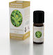 Brand Italia Αιθέριο Έλαιο Tea Tree 10ml