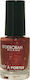 Deborah Milano Pret a Porter Shimmer Nail Polish 70 Red Baroque 4.5ml