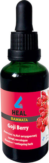 Apel Настойка 4 Heal Тинктура Goji Berry 50мл