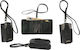 Volte-Tel Brieftasche mit Halsband Beutel Schwarz 8025198