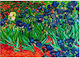 Diamond Dotz Irises Van Gogh Καμβάς Diamond Painting Κιτ