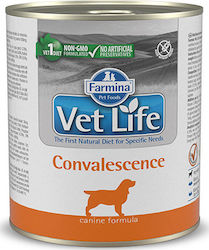 Farmina Vet Life Convalescence 300gr