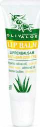 Olivaloe Lippen Balsam 10ml