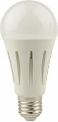 Eurolamp LED Lampen für Fassung E27 und Form A60 Kühles Weiß 2800lm 1Stück