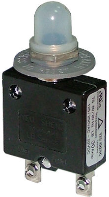 Eval Waterproof Boat Fuse 30A